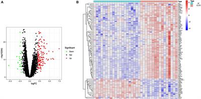 Subunits of C1Q Are Associated With the Progression of Intermittent Claudication to Chronic Limb-Threatening Ischemia